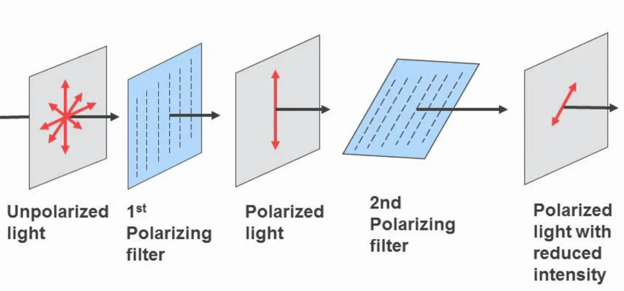 Polariser LCD