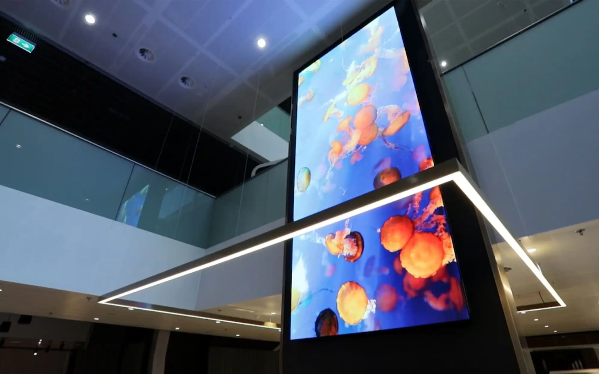 videotron indoor harga terbaru dan kelebihan