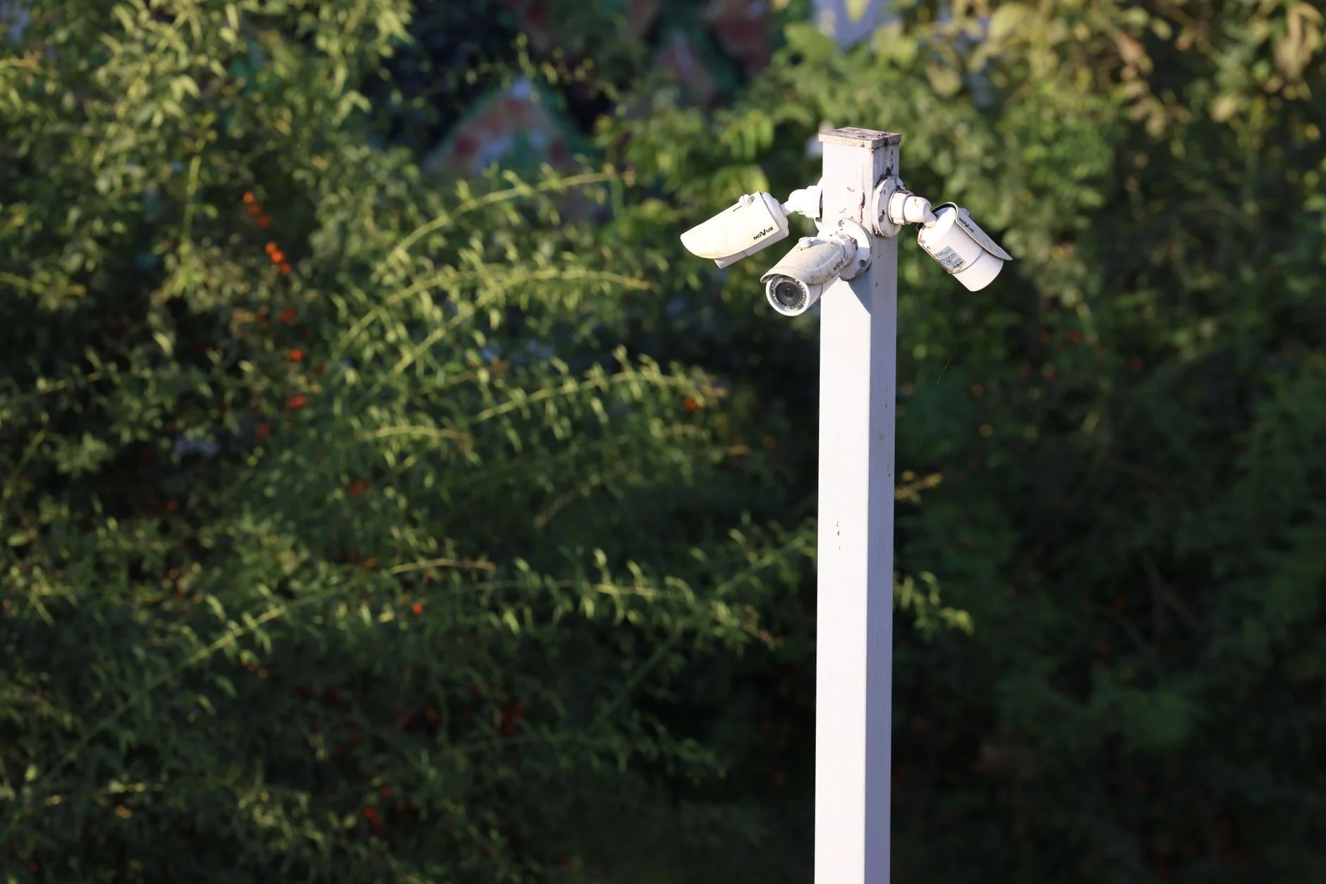 cctv bisa dengar suara dengan fitur mikrofon